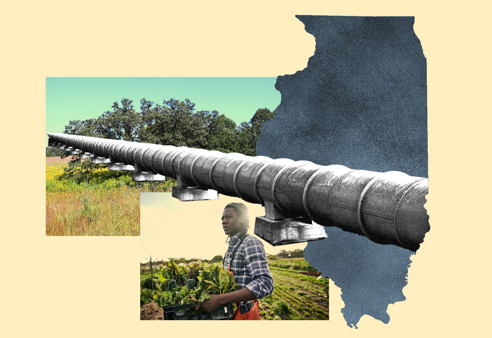 Collage: silhouette of Illinois, an oak savanna, and a Black farmer covered by an oil pipeline
