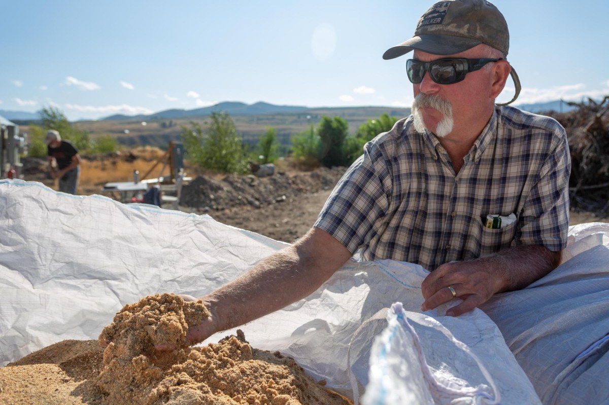 An older man wearing a plaid shoe-sleeved plaid shirt, sunglasses and a cap holds sawmill dust in his left hand. Behind him, a blue sky and a young forest let you see a mountain range rising in the horizon.
