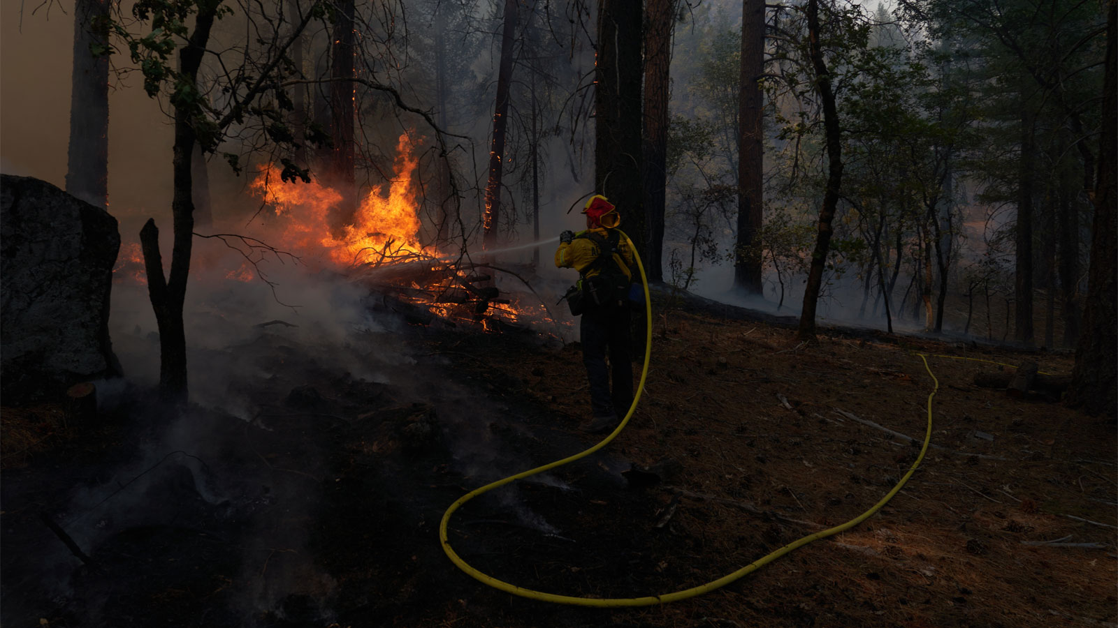 A firefighter spraying water on flames in a forest