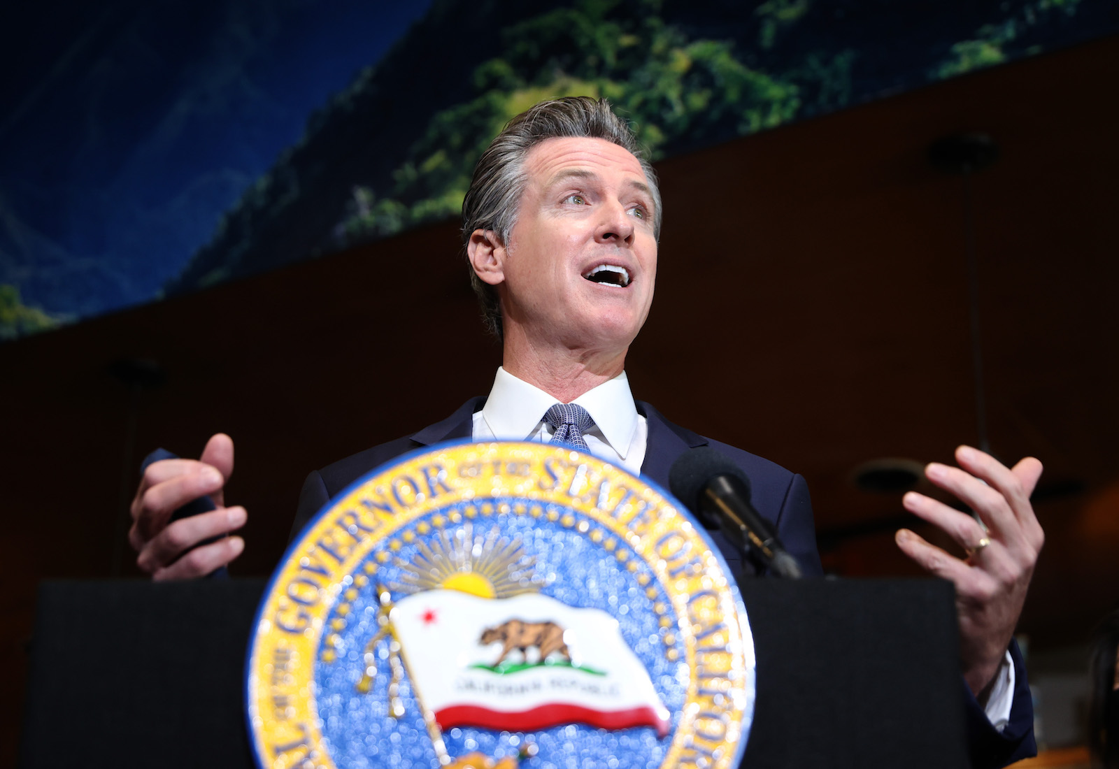 California Governor Gavin Newsom -- a man with slightly graying hair wearing a dark suit -- stands in front of a microphone on stand with the seal of California on it