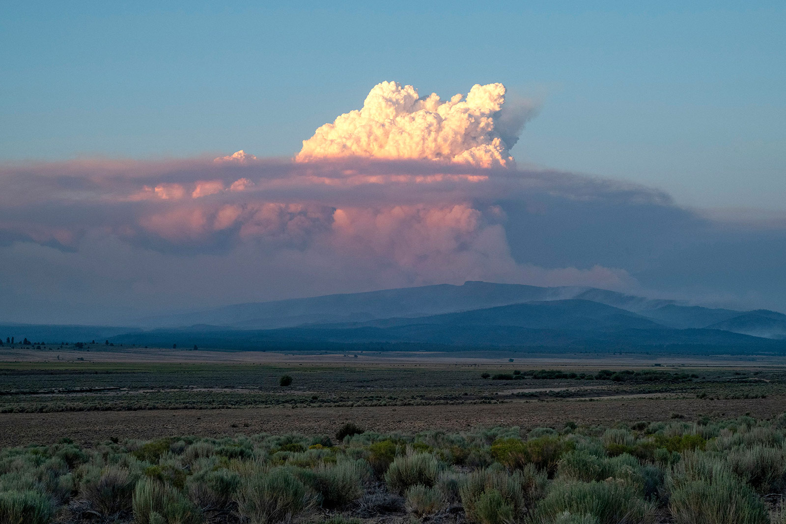 A pyrocumulus cloud from the Bootleg Fire drifts into the air near Bly, Oregon