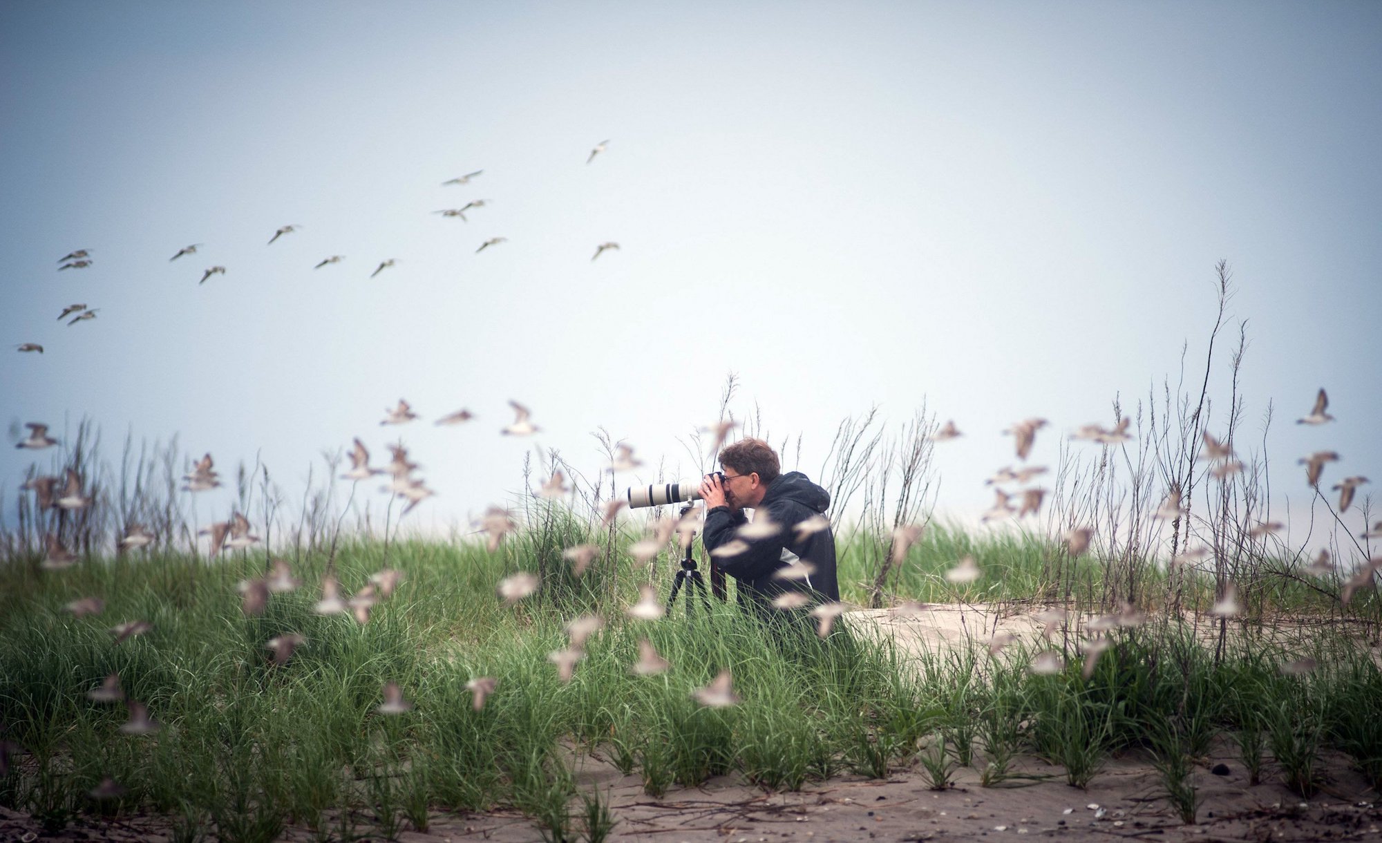 a man crouches holding camera as a flock of birds flies past near to the ground