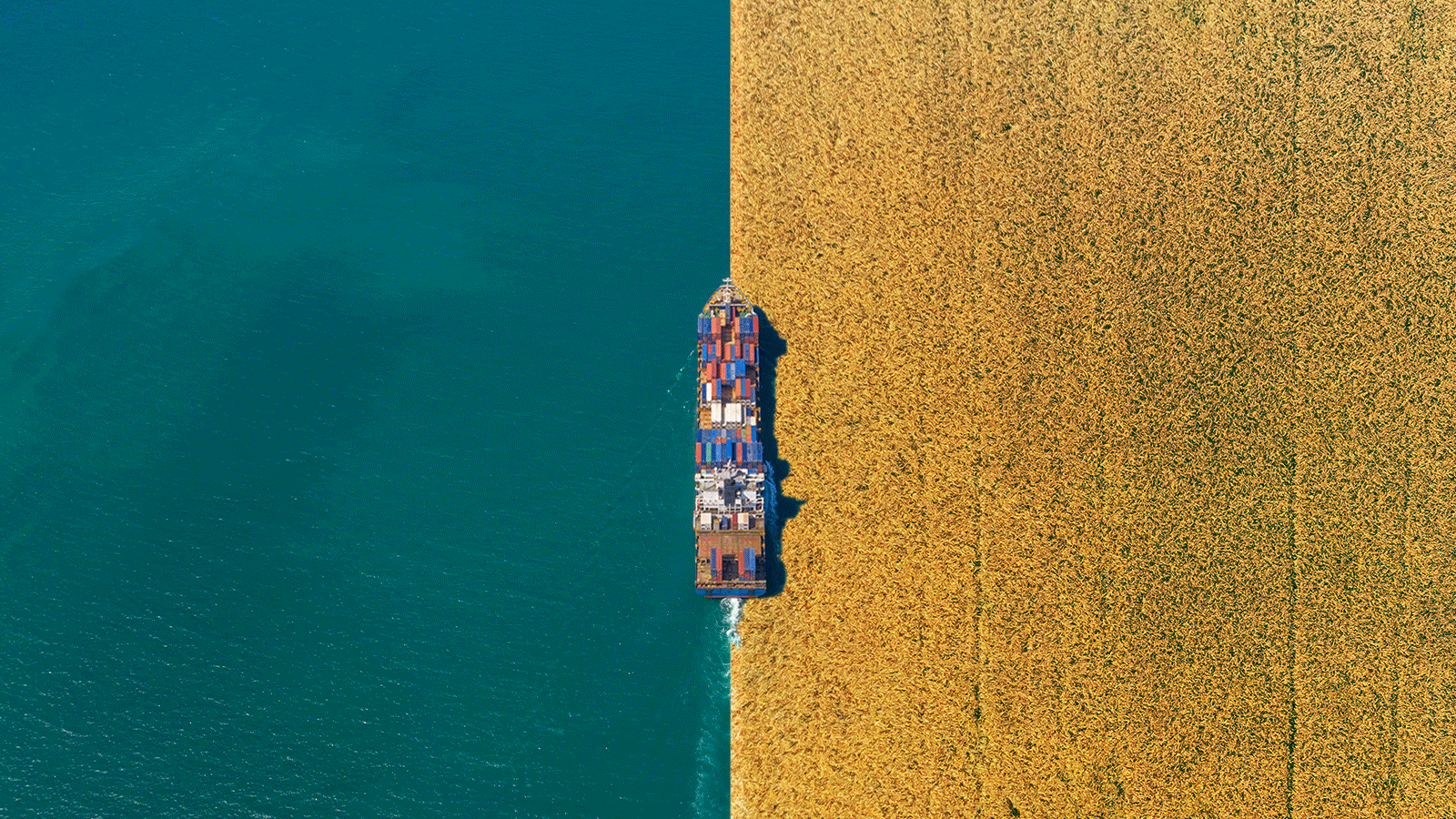 A cargo ship goes through the water and a field.