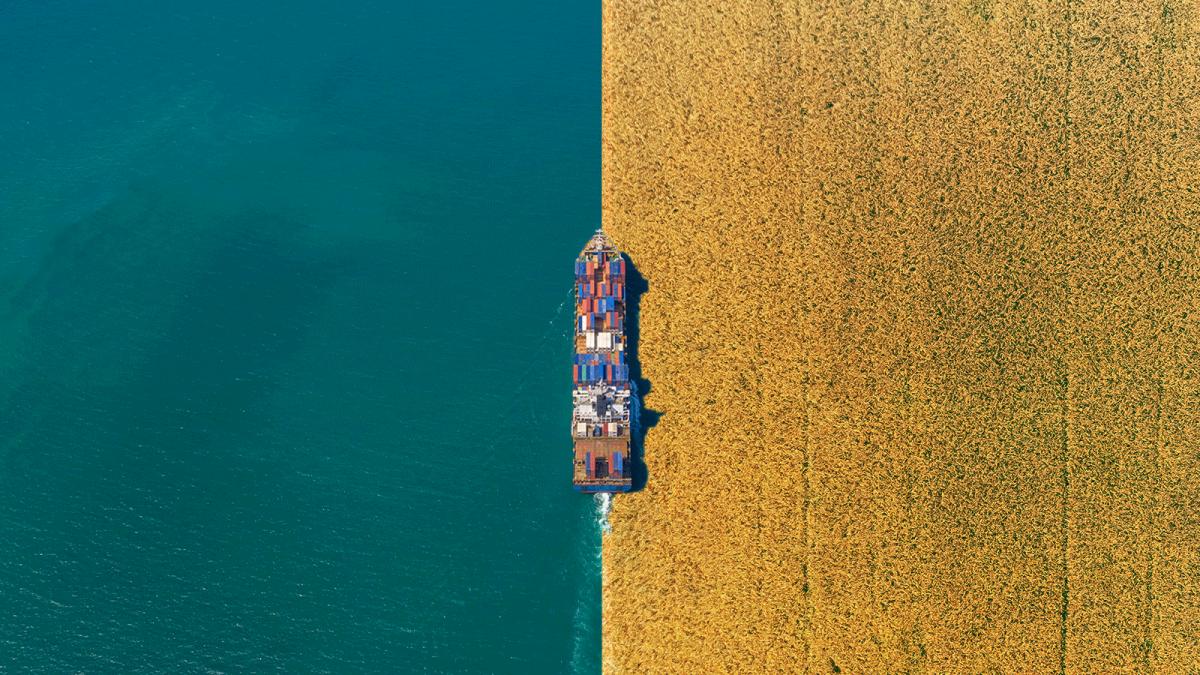 A cargo ship goes through the water and a field.