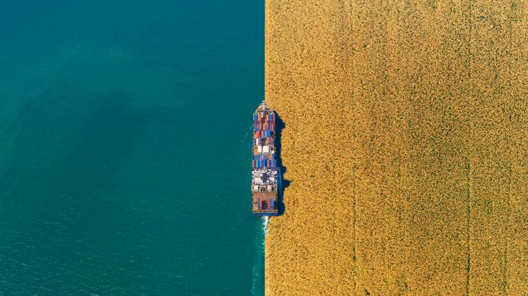 A cargo ship goes through the water and a field.