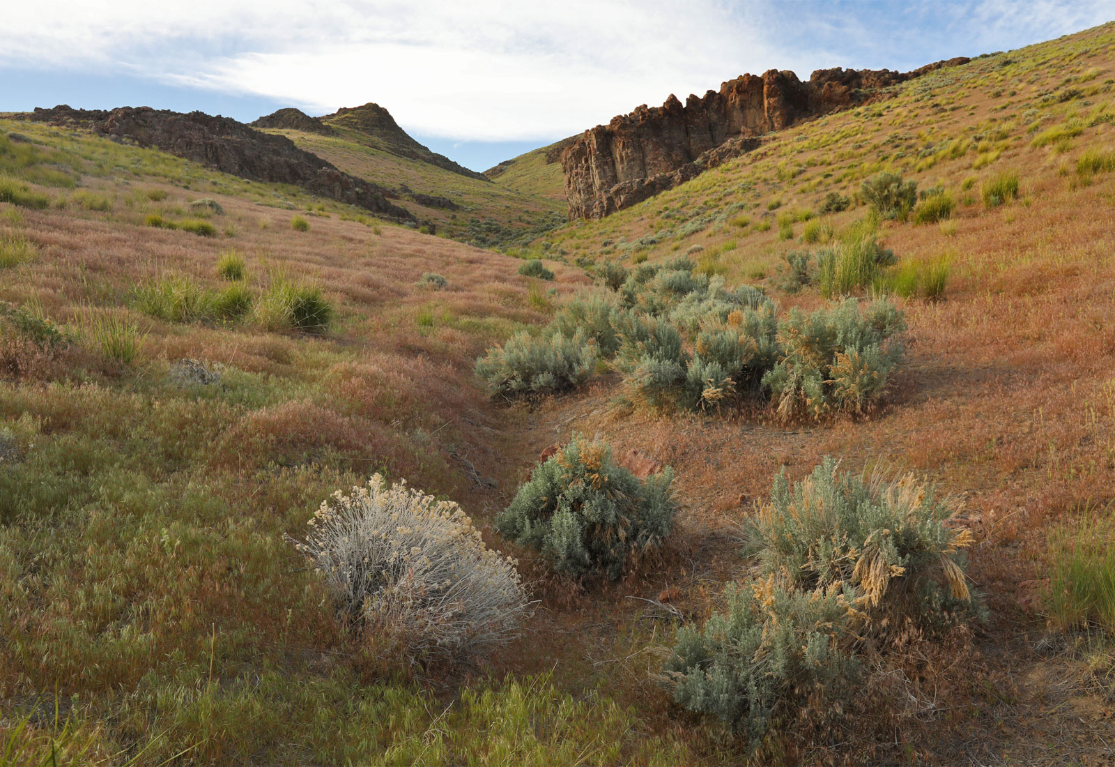 Rock formations, hills, and sagebrush in Thacker Pass, Nevada
