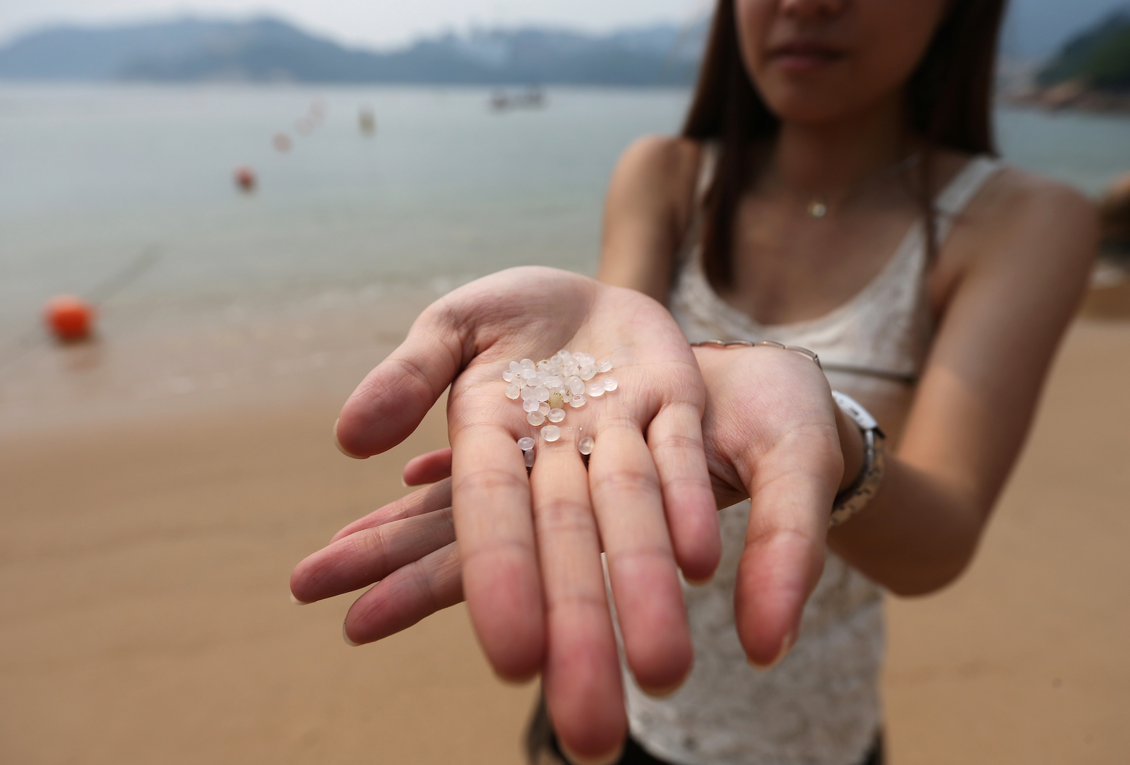 About 150 tons of pellets were spilled into the sea from a vessel when Typhoon Vicente in 2012, and some of the pellets drifted into fish farms.