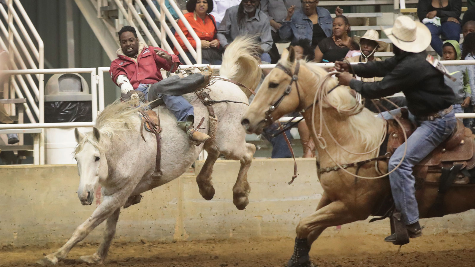 Two Black men on horses in a bronc riding competition
