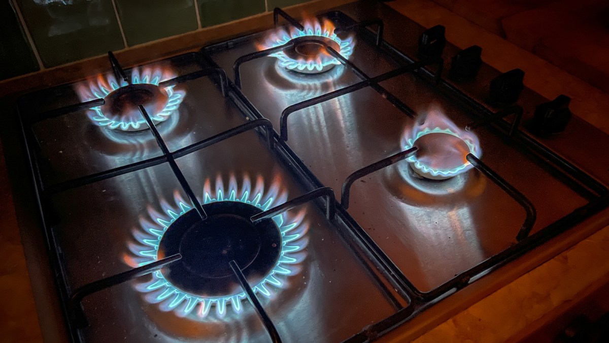 four lit burners on a gas stove