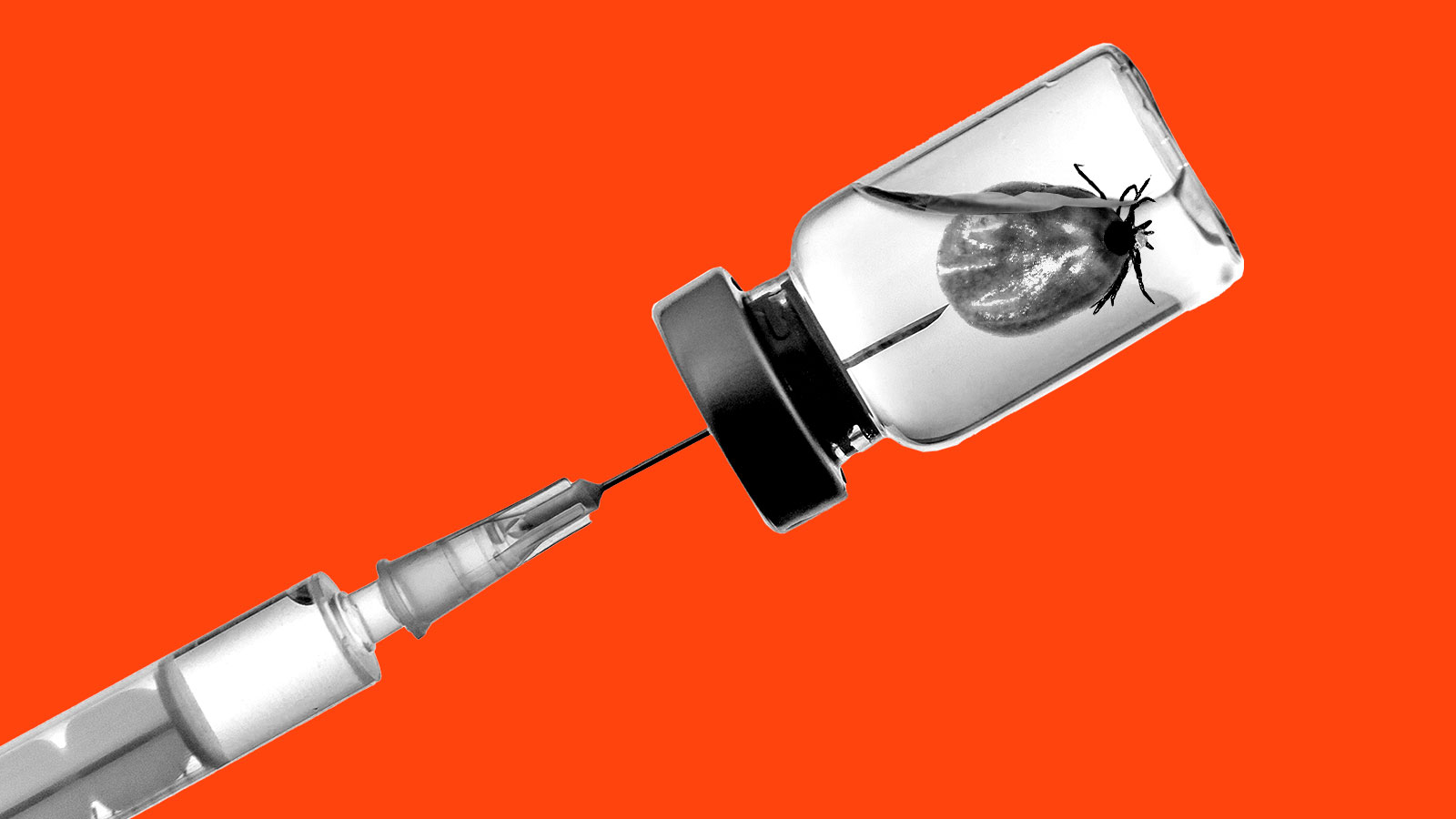 Syringe drawing from bottle with tick and liquid inside