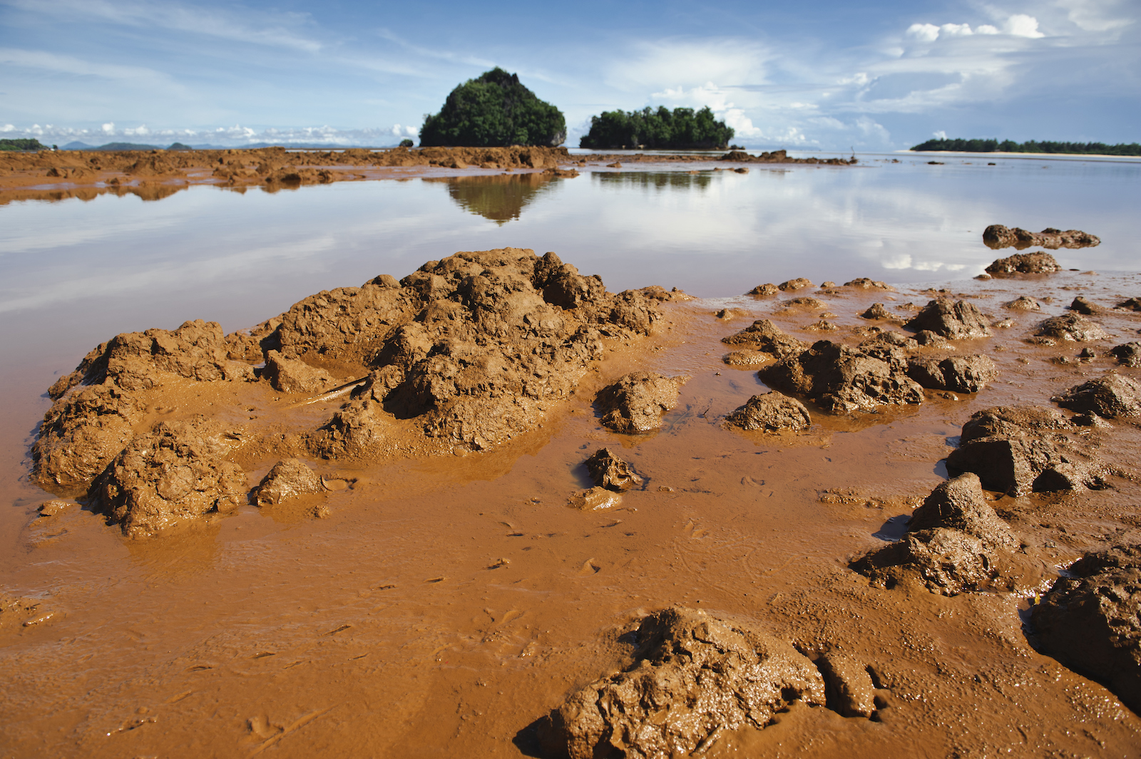 In Mindanao, Philippines, siltation from a mine is washed down the river and into the ocean.