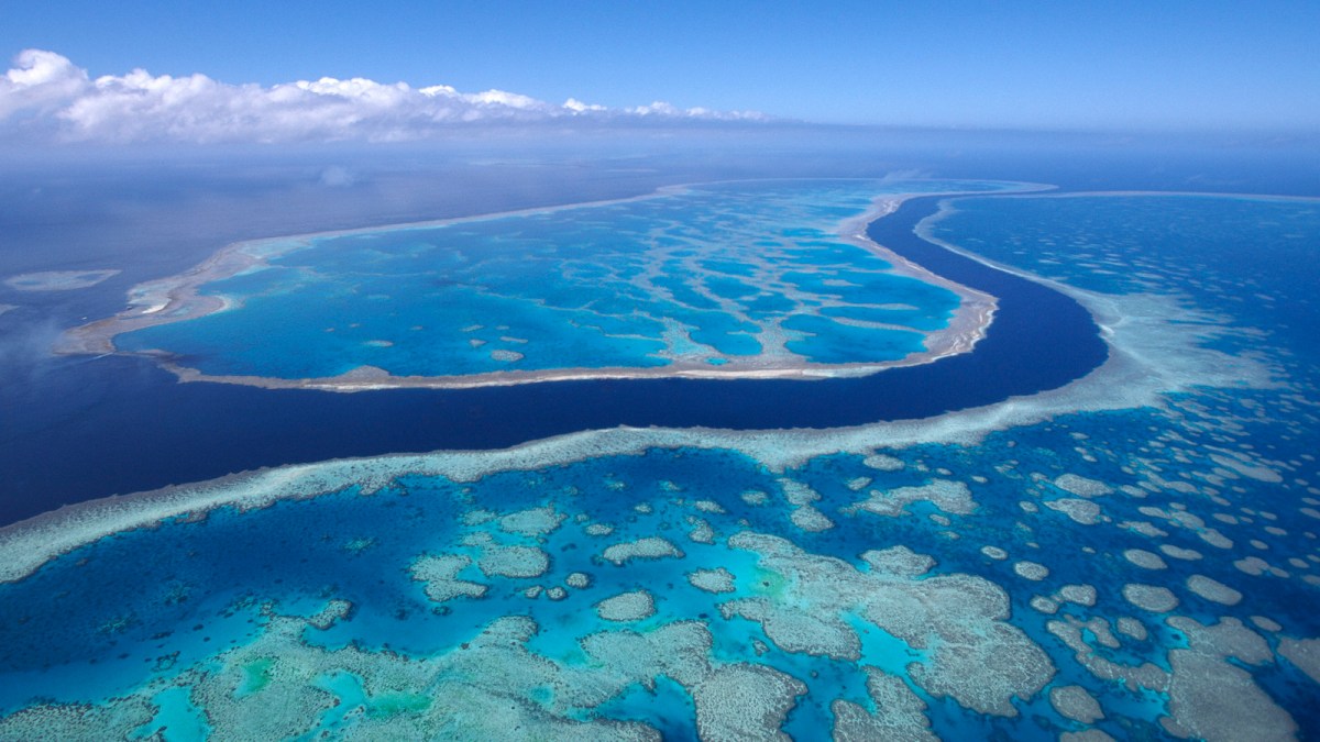 Photo: The Great Barrier Reef