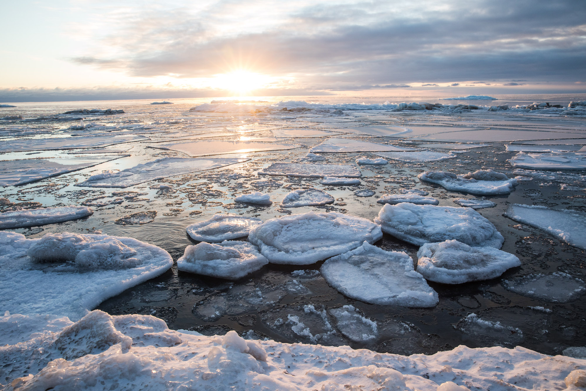 large chunks of ice floats bob on an icy body of water with a light yellow sun visible just above the water
