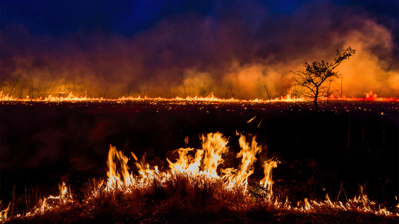 Flames and fire in a burnt field with orange smoke rising in the dark blue sky