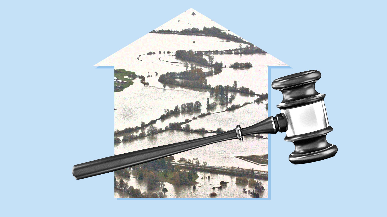 Flooded fields inside the shape of a house with a gavel on top