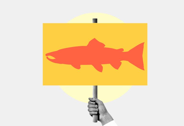 collage: hand holding yellow sign with red salmon silhouette on it