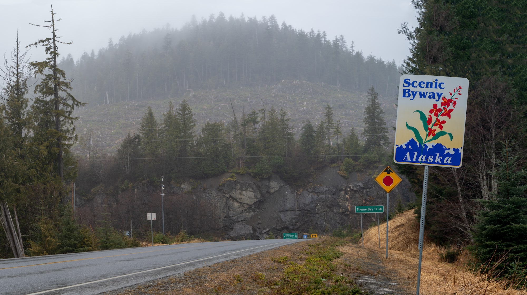 a highway with a sign on the side saying "scenic byway alaska" and a picture of a red flower on it