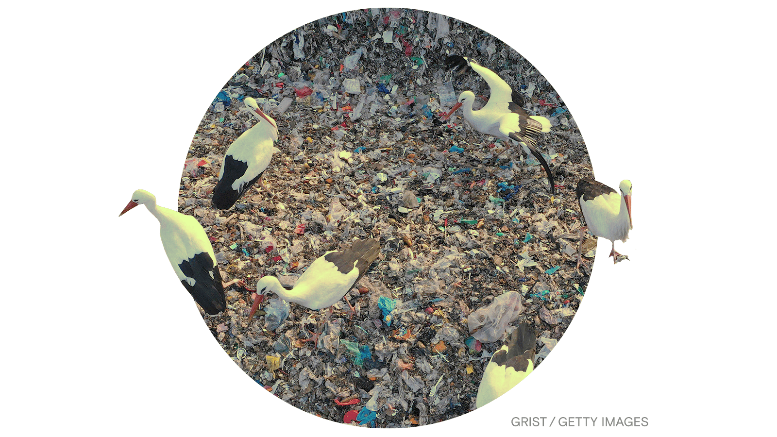 A global plastics treaty is on the way Grist Grist