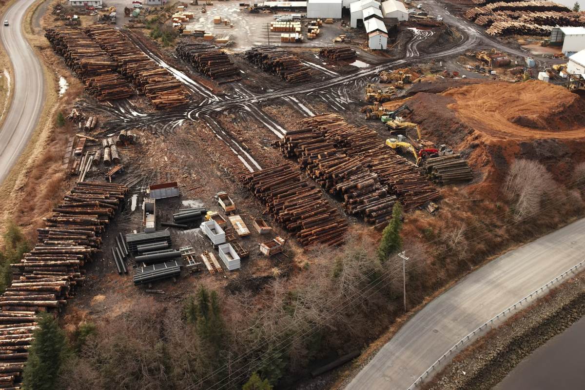 A logging loophole is clear-cutting the Tongass National Forest - Grist ...