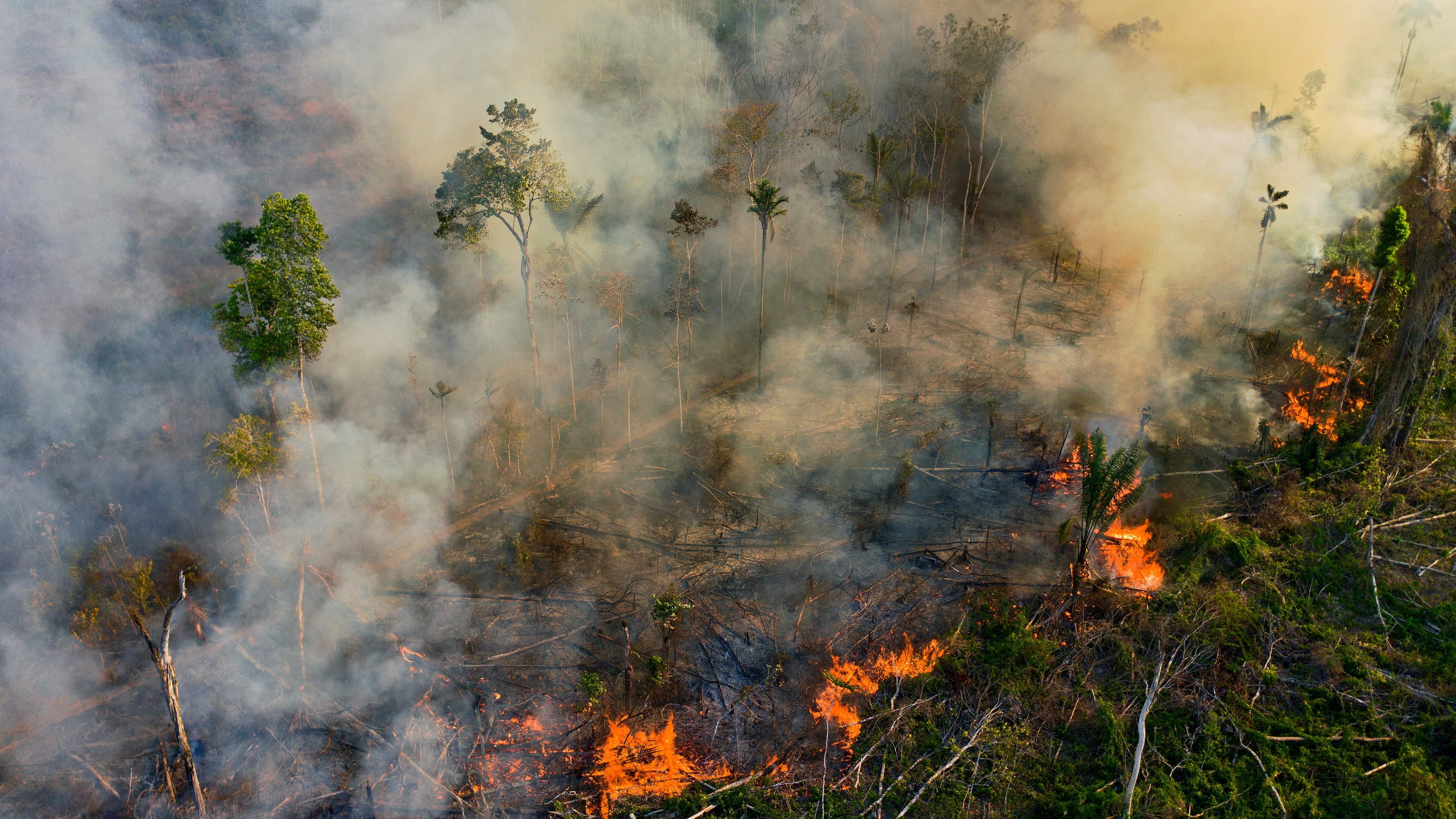 Fires burn in the Amazon rainforest.