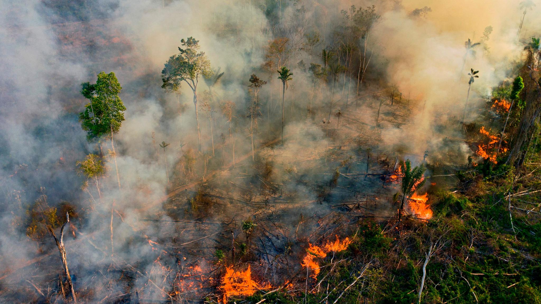 Amazon Rainforest Is Nearing Critical Tipping Point Grist