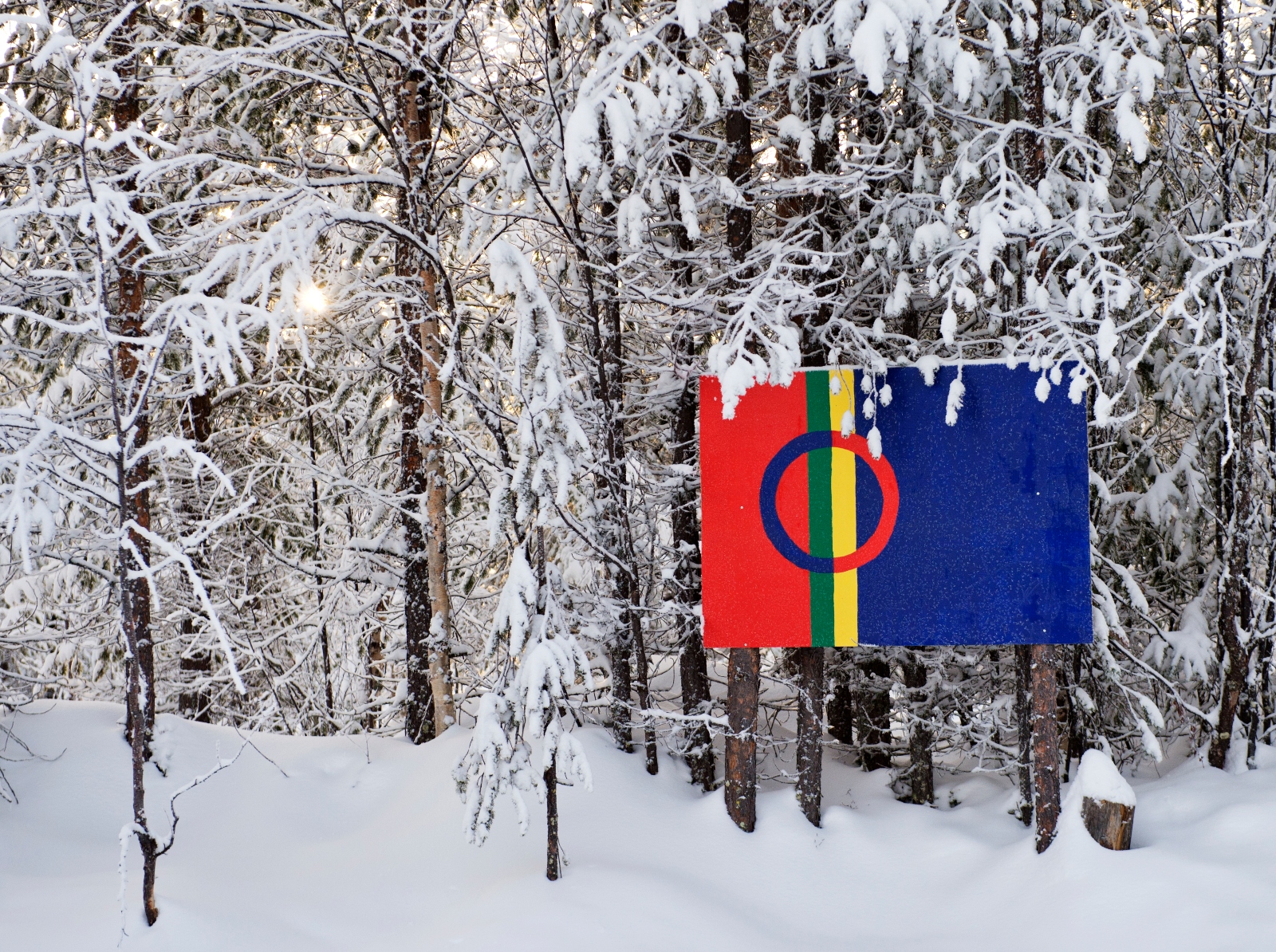 Blue red yellow and green Sami flag hanging from snow covered trees