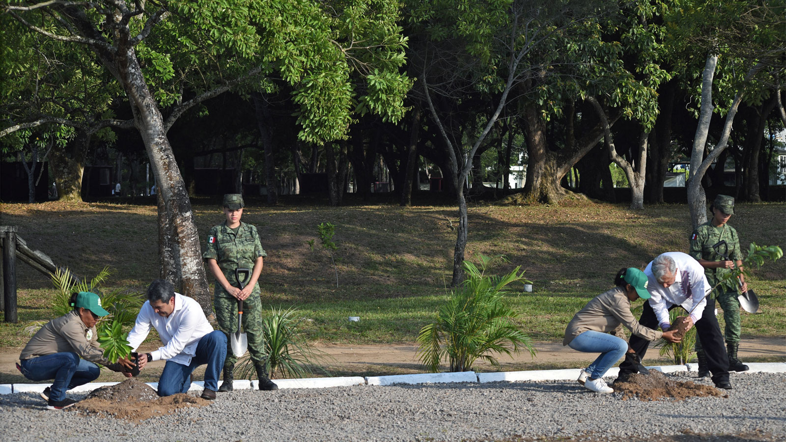A group of six people, two in army fatigues, planting trees