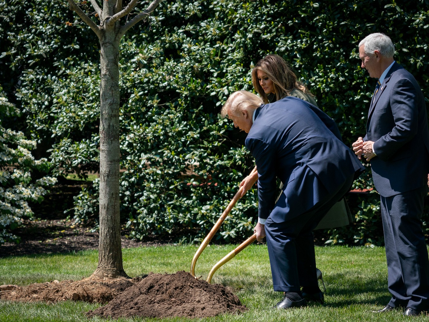 Trump and Melania shovel dirt in a green lawn wearing a suit and dress.