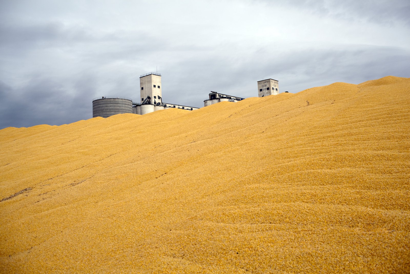 Surplus corn harvested in 2010 is piled outside a farmer's co-op storage silo December 4, 2010 in Paoli, Colorado