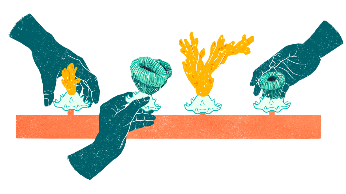 Hands placing various corals on metal pipe