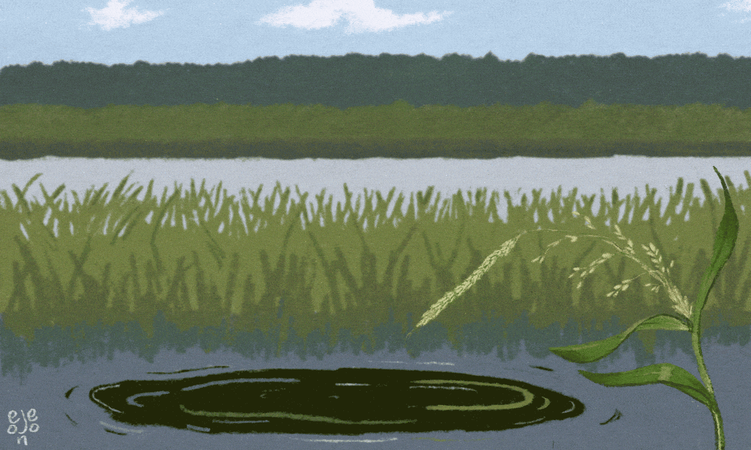 animated illustration of waving wild rice stalk dropping grains into oily water with grasses, water, and trees in the background