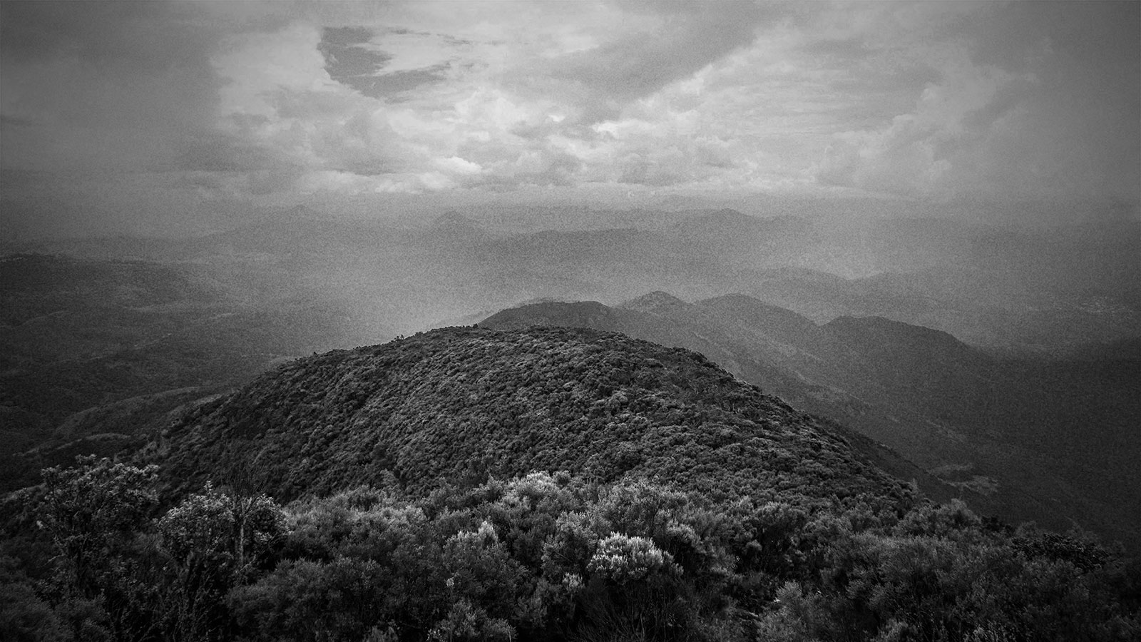 foreboding black and white photo of a tree covered mountain with more mountains fading into the distance