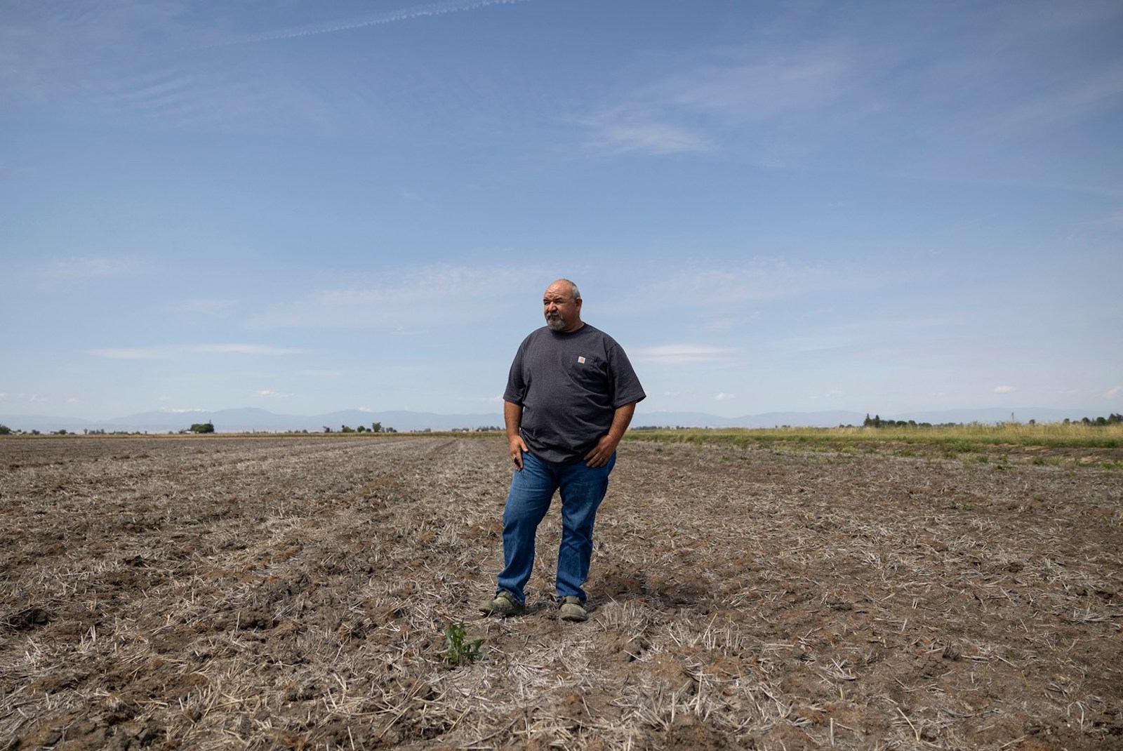 Mathew Garcia, standing in one of his fallowed rice fields in Glenn, CA.