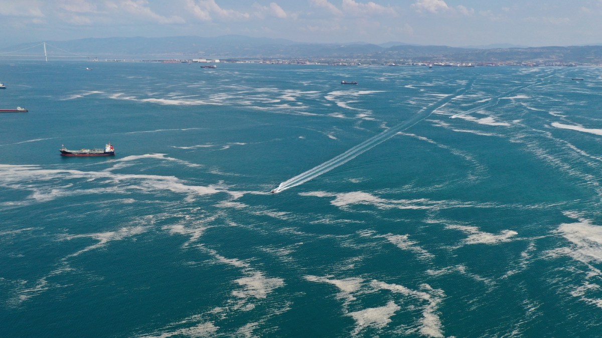 A drone photo shows mucilage, also known colloquially as sea snot, continuing to invade the Marmara Sea, at Gulf of Izmit in Darica district of Kocaeli's Eskihisar coastline.