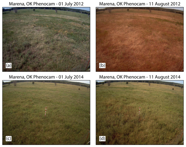 Four photos of grass in Oklahoma over different time periods