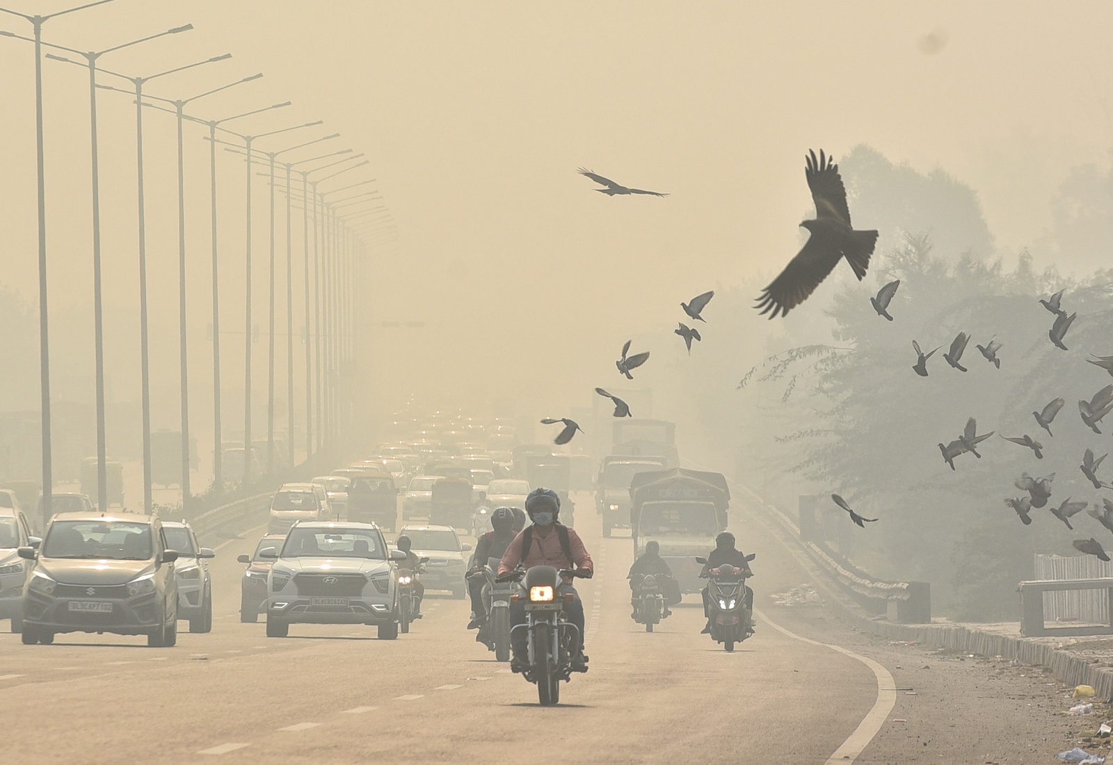Cars and motorbikes drive through heavy smog, with birds in the foreground amid heavy pollution.