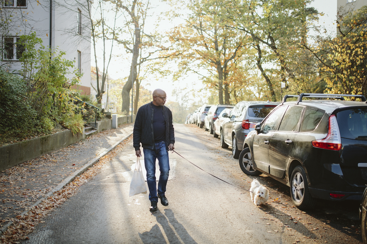 a man walks his dog past a row of cars and trees in a city