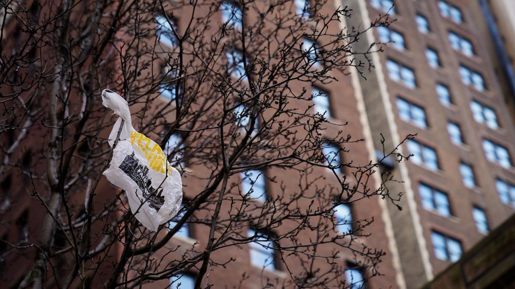 A plastic bag in a tree, with red building in background