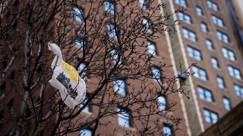 A plastic bag in a tree, with red building in background