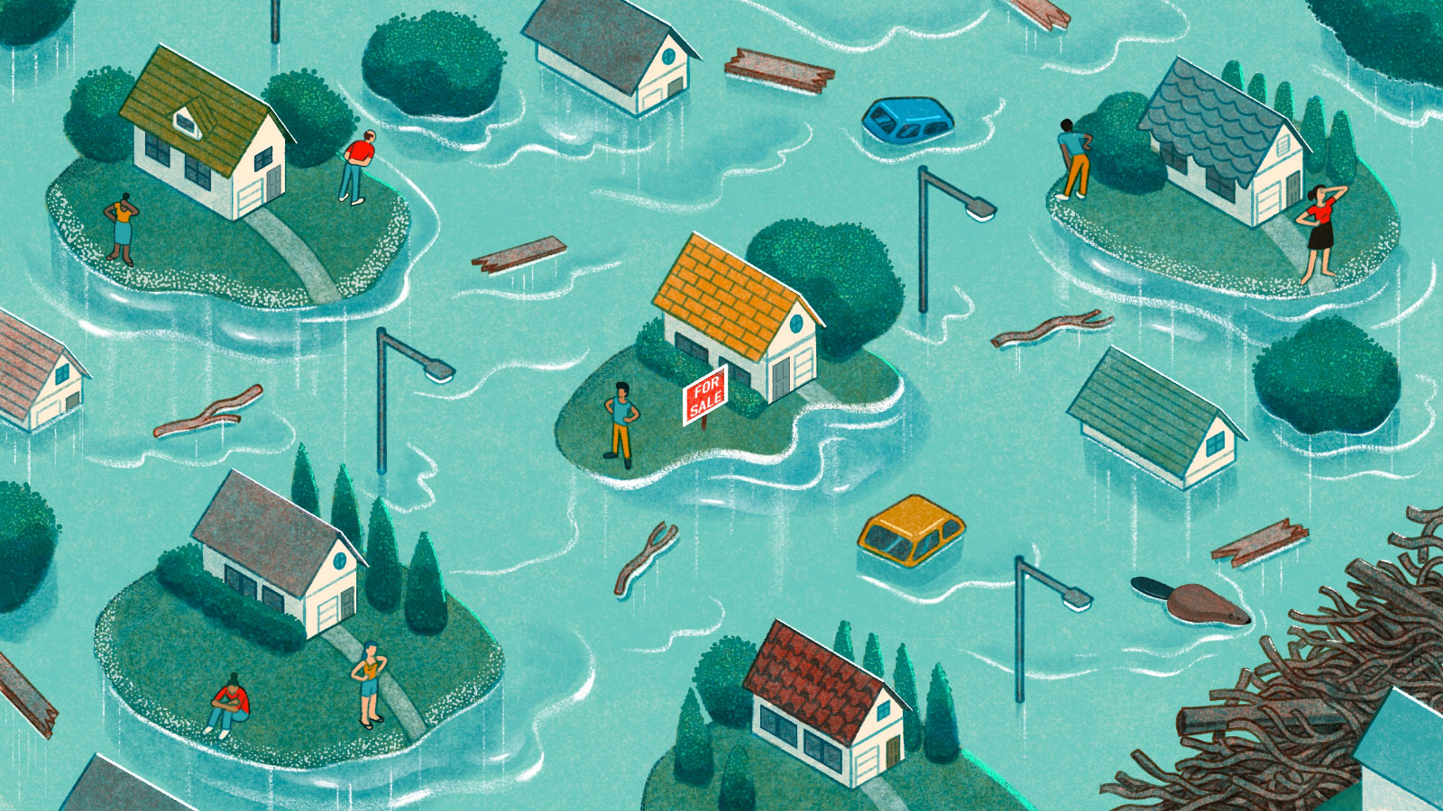 Illustration: semi-aerial view of flooded area and houses; some houses are half-submerged, and some are on tiny islands. People on the islands are gazing at the water. In the bottom right corner, a beaver swims towards its dam.