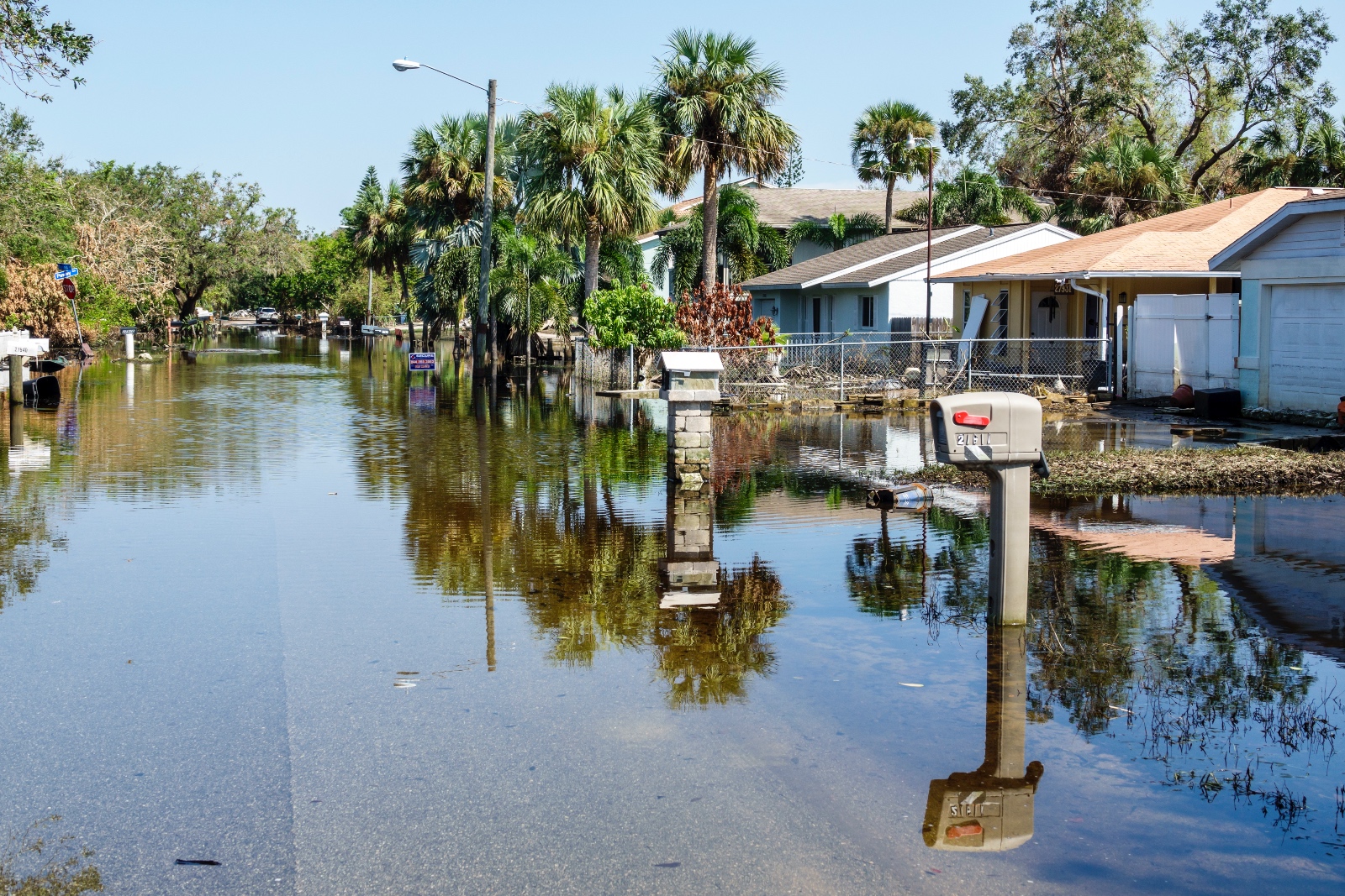 Row of low-lying houses under palm trees with mailboxes reflected in floodwaters
