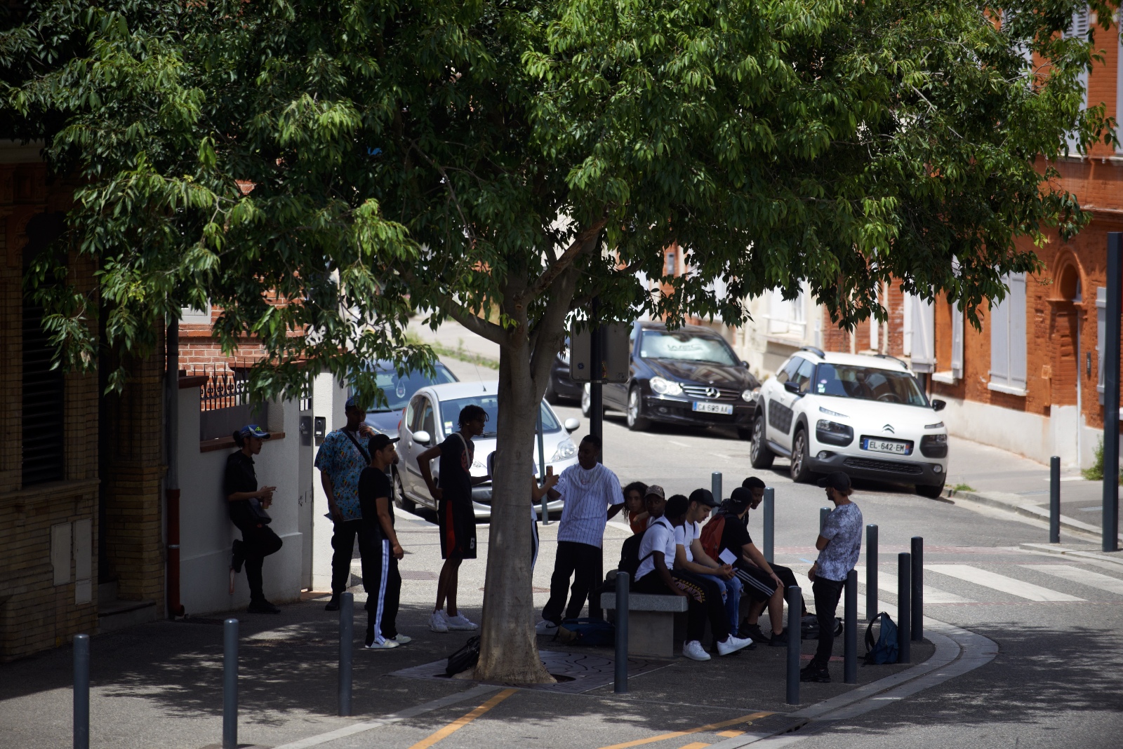 A group of young people sits in the shade of a tree on a bright and sunny street.