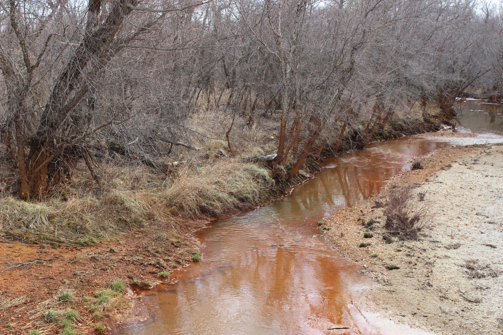 Cooper-colored creek runs through a dry winter forest landscape