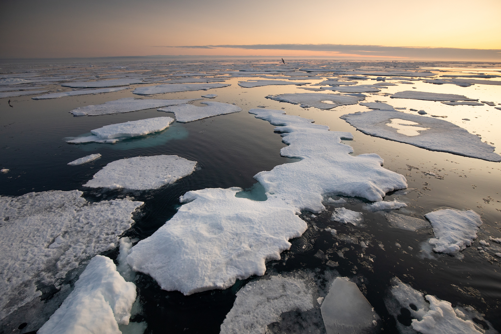 aerial view of pack sea ice at sunset