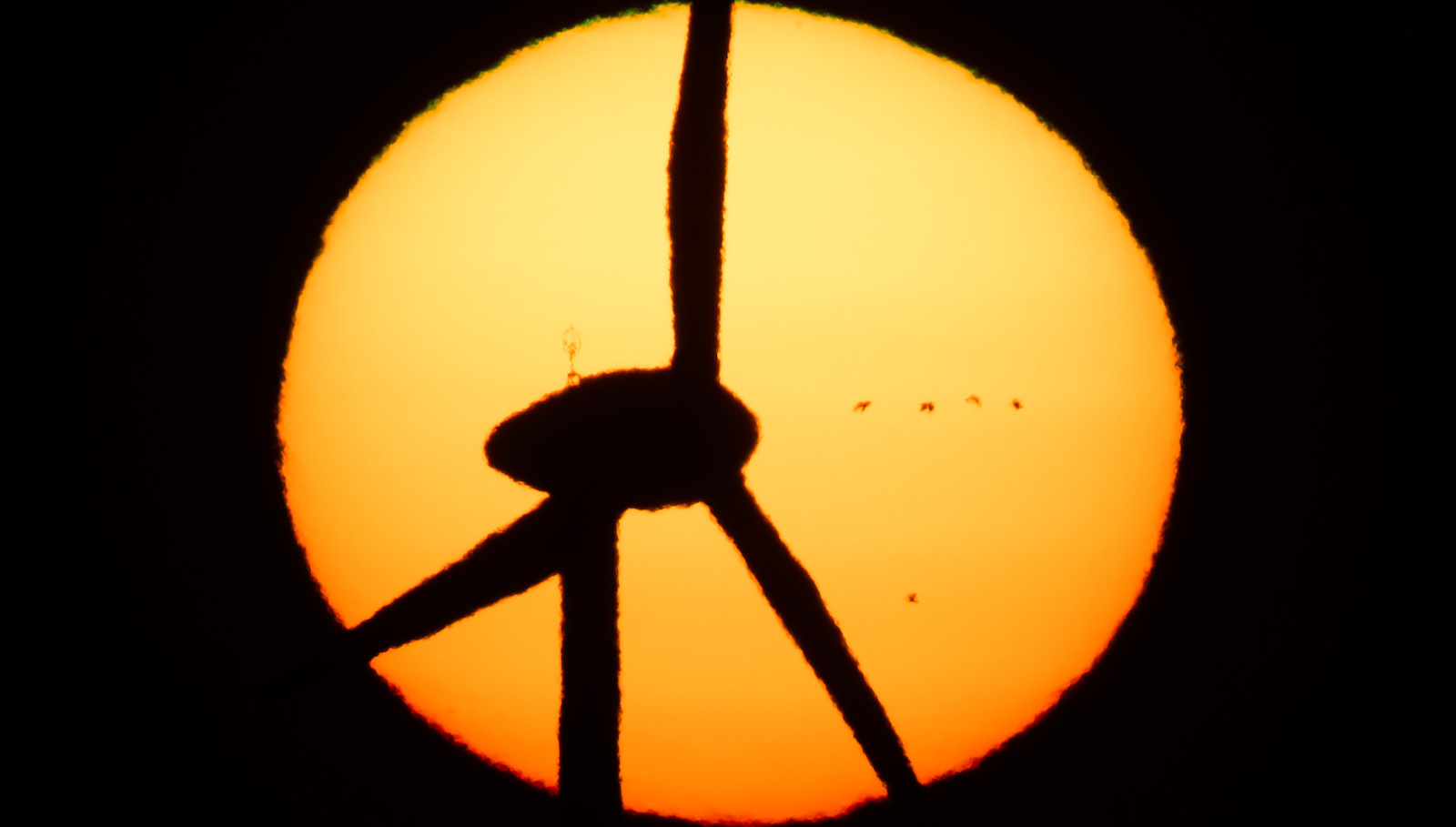 silhouette of a wind turbine