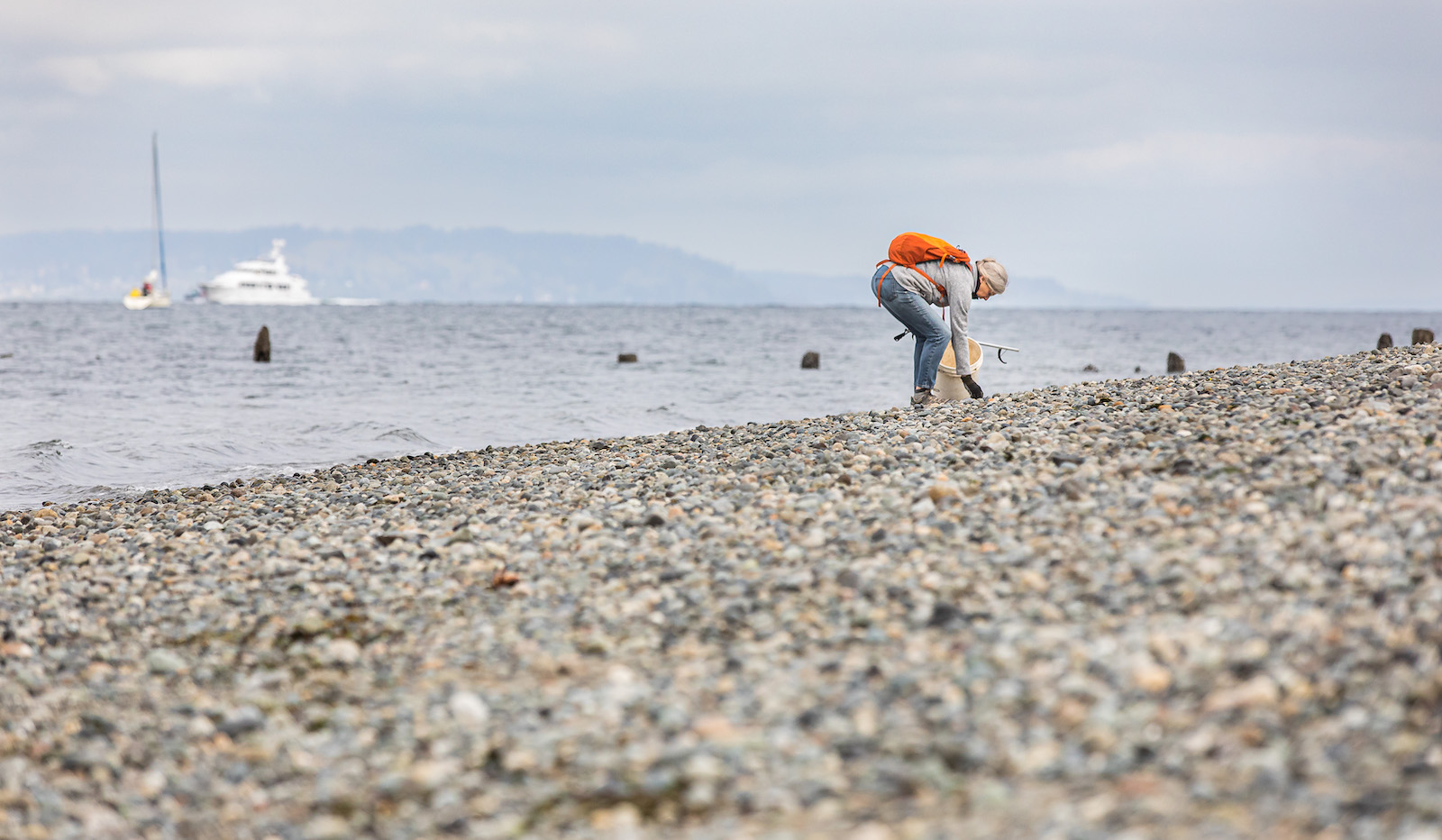 Volunteer Deborah Woolley of Seattle collects marine trash in an area designated for the Escaped Trash Assessment Protocol (ETAP) at Golden Gardens Park in Seattle, Saturday, April 23, 2022.