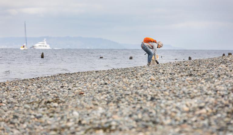 Volunteer Deborah Woolley of Seattle collects marine trash in an area designated for the Escaped Trash Assessment Protocol (ETAP) at Golden Gardens Park in Seattle, Saturday, April 23, 2022.