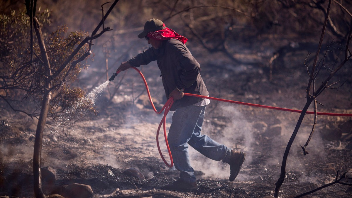 A farmworker fights the Thomas Fire on December 7, 2017 near Fillmore, California.