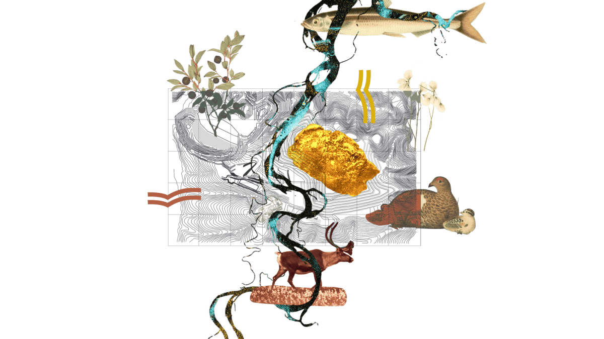 Collage: a topographic map of a mine with a blueberry bush sprig, a rainbow smelt, a ptarmigan and two chicks, and a caribou surrounding it, with a gold nugget in the middle of the map and a river running through the center