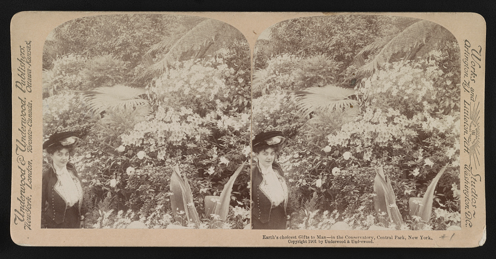 A Victorian woman standing next to ferns and azaleas